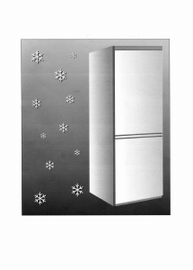 Manuale Bauknecht KGC 3559/0 Frigorifero-congelatore