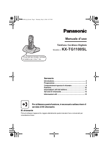 Manuale Panasonic KX-TG1100SLD Telefono senza fili