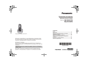 Hướng dẫn sử dụng Panasonic KX-TG1311FX Điện thoại không dây