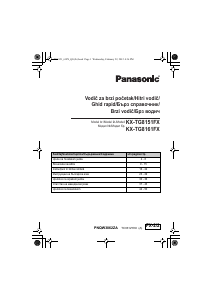 Manual Panasonic KX-TG8151FX Telefon wireless