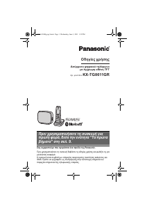 Εγχειρίδιο Panasonic KX-TG8611G Ασύρματο τηλέφωνο