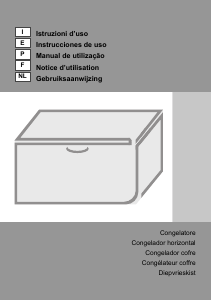 Manuale Gorenje FH331W Congelatore