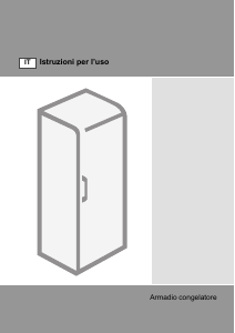 Manuale Gorenje FN6191CW Congelatore