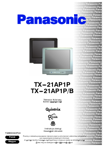 Bedienungsanleitung Panasonic TX-21AP1PB Fernseher