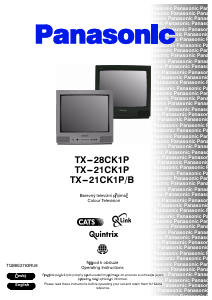 Bedienungsanleitung Panasonic TX-21CK1P Fernseher