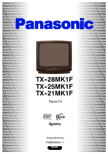 Bedienungsanleitung Panasonic TX-21MK1F Fernseher