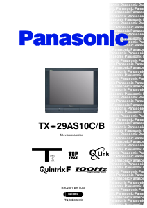 Bedienungsanleitung Panasonic TX-29AS10CB Fernseher