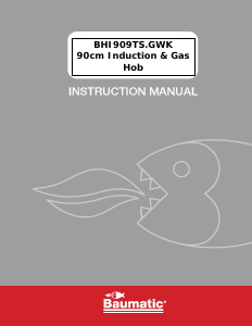 Handleiding Baumatic BHI909TS.GWK Kookplaat