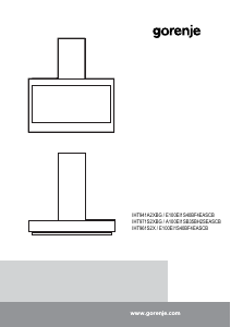 Kullanım kılavuzu Gorenje IHT961S2X Davlumbaz