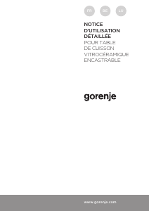 Mode d’emploi Gorenje EC641BSC Table de cuisson