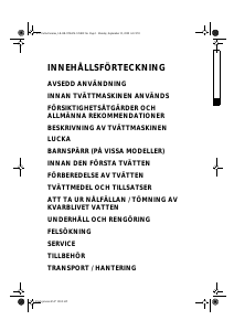 Bruksanvisning Ignis LOE 668 Tvättmaskin