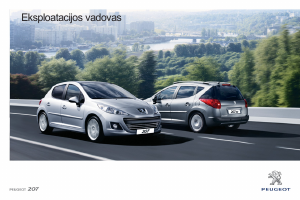 Vadovas Peugeot 207 (2011)