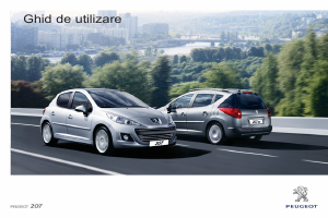 Manual Peugeot 207 (2011)