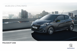 Használati útmutató Peugeot 208 (2017)