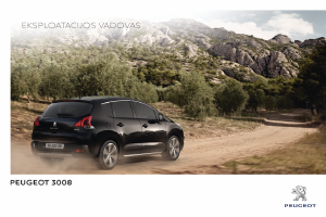 Vadovas Peugeot 3008 (2015)