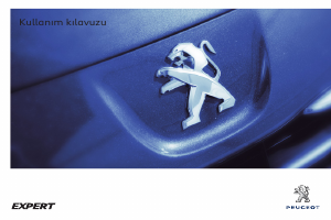 Kullanım kılavuzu Peugeot Expert (2013)